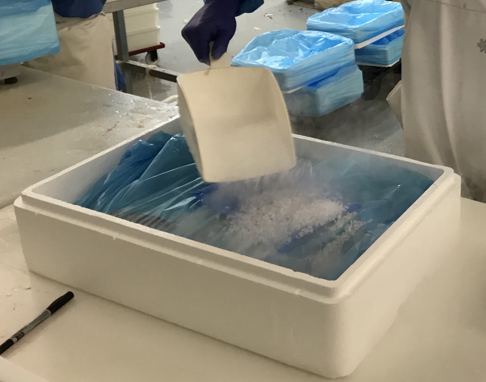 Þurrísframleiðsla Ísblik í Hafnarfirði